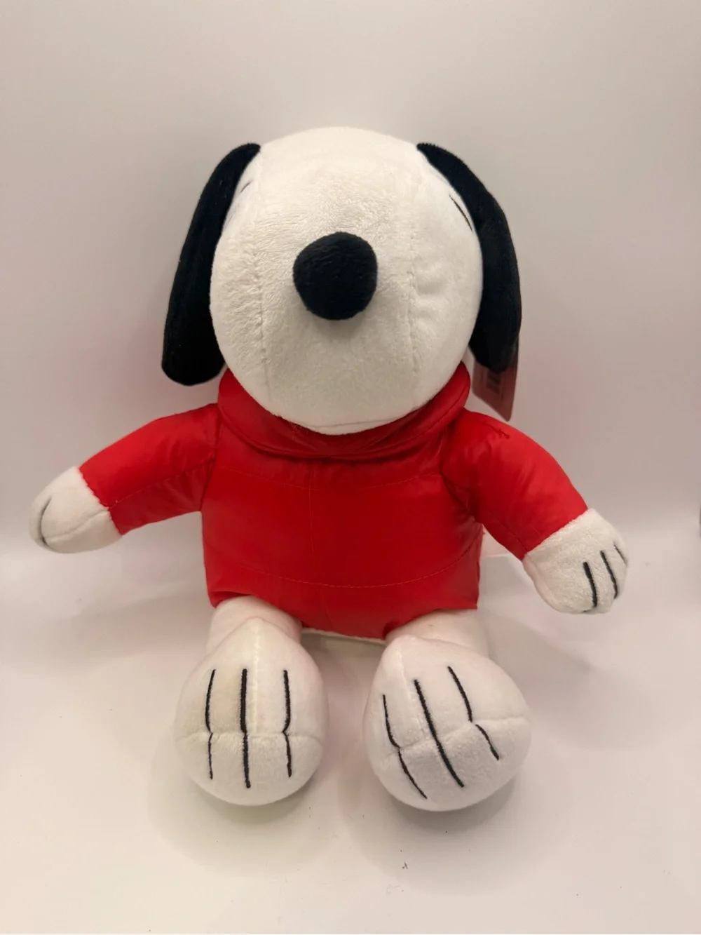 Ruz snoopy 2025